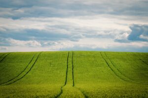 ほいく畑で探す神戸の求人情報はどこにある？