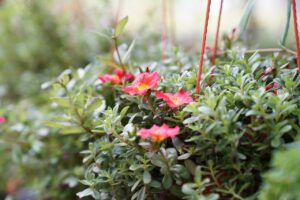 保育ひろばの神戸における評判はどうなの？