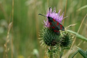 保育士の賞与の平均はどのくらいですか？