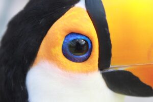 神戸で保育士が転職する際のブランクからの復帰方法は？